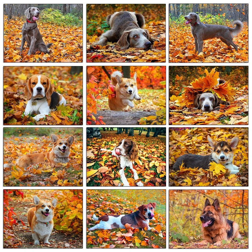 

Алмазная живопись с квадратными/круглыми стразами, вышивка крестиком «сделай сам» с изображением животных, собак, пейзажа, осенних листьев,...