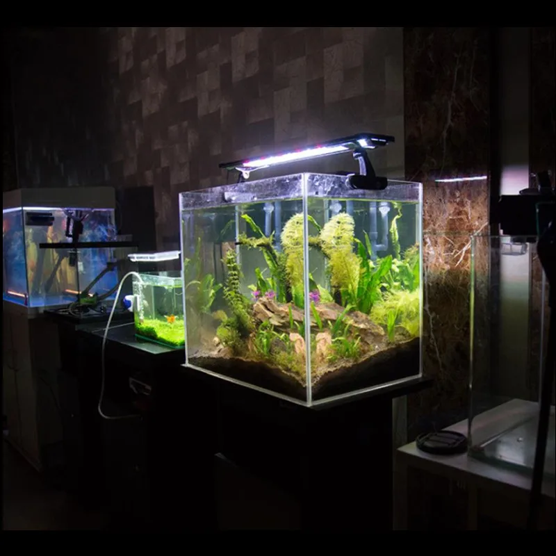 저렴한 풀 스펙트럼 회전식 저전력 소비 고휘도 LED 어항 램프 랙 잔디 탱크 램프 수족관 LED 램프 구매 풀 스펙트럼 회전식 저전력 소비 고휘도 LED 어항 램프 랙 잔디 탱크 램프 수족관 LED 램프