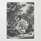 Плакат на холсте с изображением растений, настенное искусство, индийский лес, украшение для дома, HD картина, модульные черные и белые картины, классическая гостиная