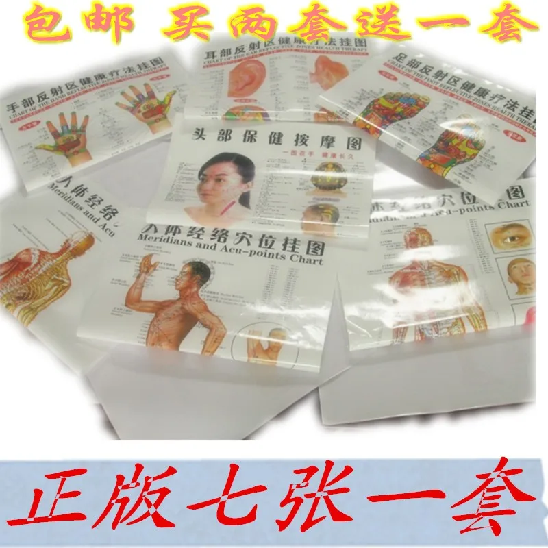 7 шт. акупунктурная настенная диаграмма меридианы Acu points китайский английский