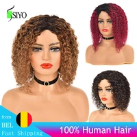 siyo water wave human hair wig brazilian human hair full wigs for black women short curly brazilian remy hair wig ombre colored