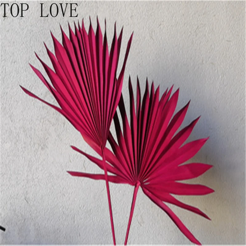 Сушеный цветок веер для пальмы листья растения Подсолнух украшение дома