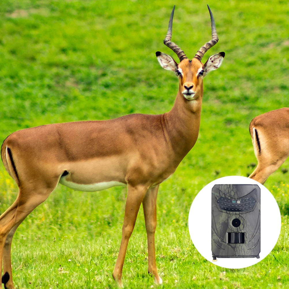 

1Pc Camera Duarble Poratble Waterproof 12 Million Pixel Hunting Camera Monitor Camera Video Camera for Wild