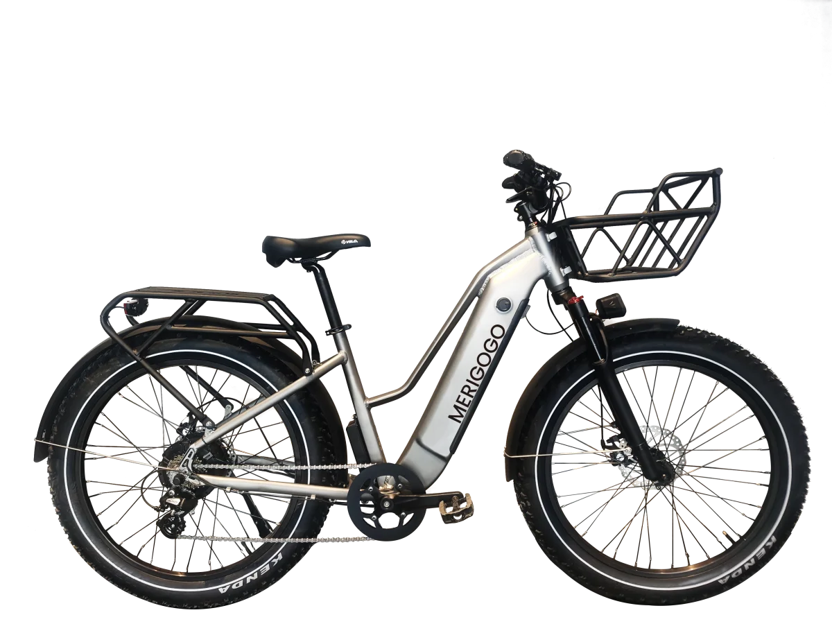 Günstig Chinesische Fabrik 1000W Bike Besten Fett Reifen Elektrische Bikes