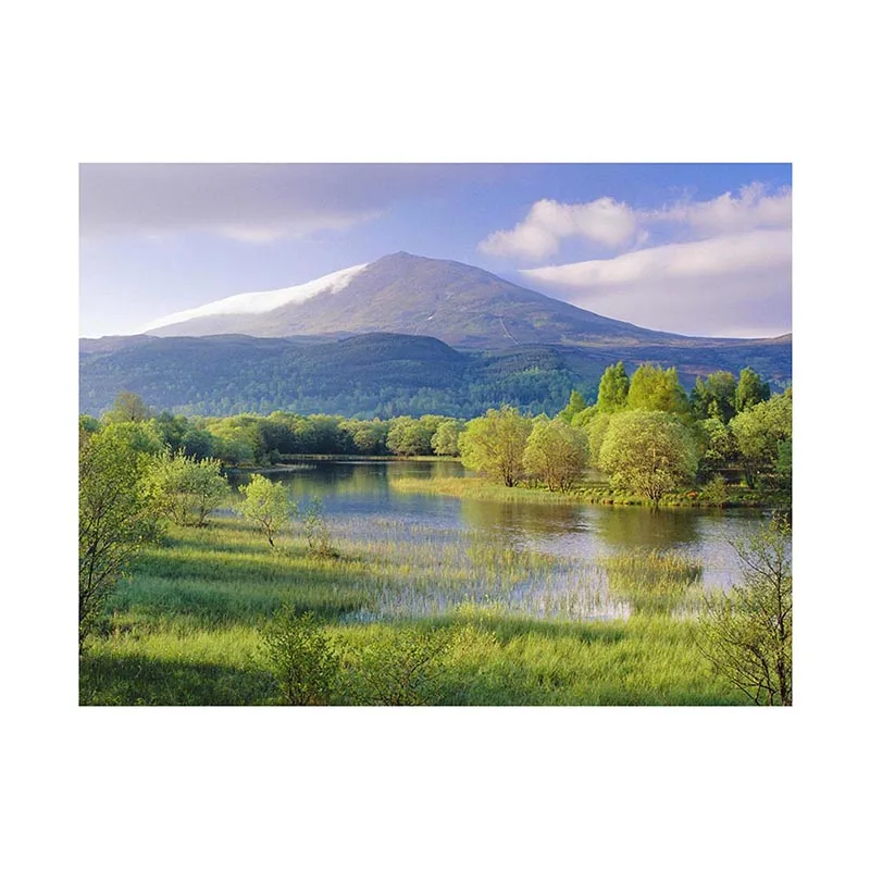 

1 шт. фоновая ткань для фотосъемки 7*5 футов/5*3 фута без рамки природа пейзаж фото ткань фотографические фоны для камеры студия