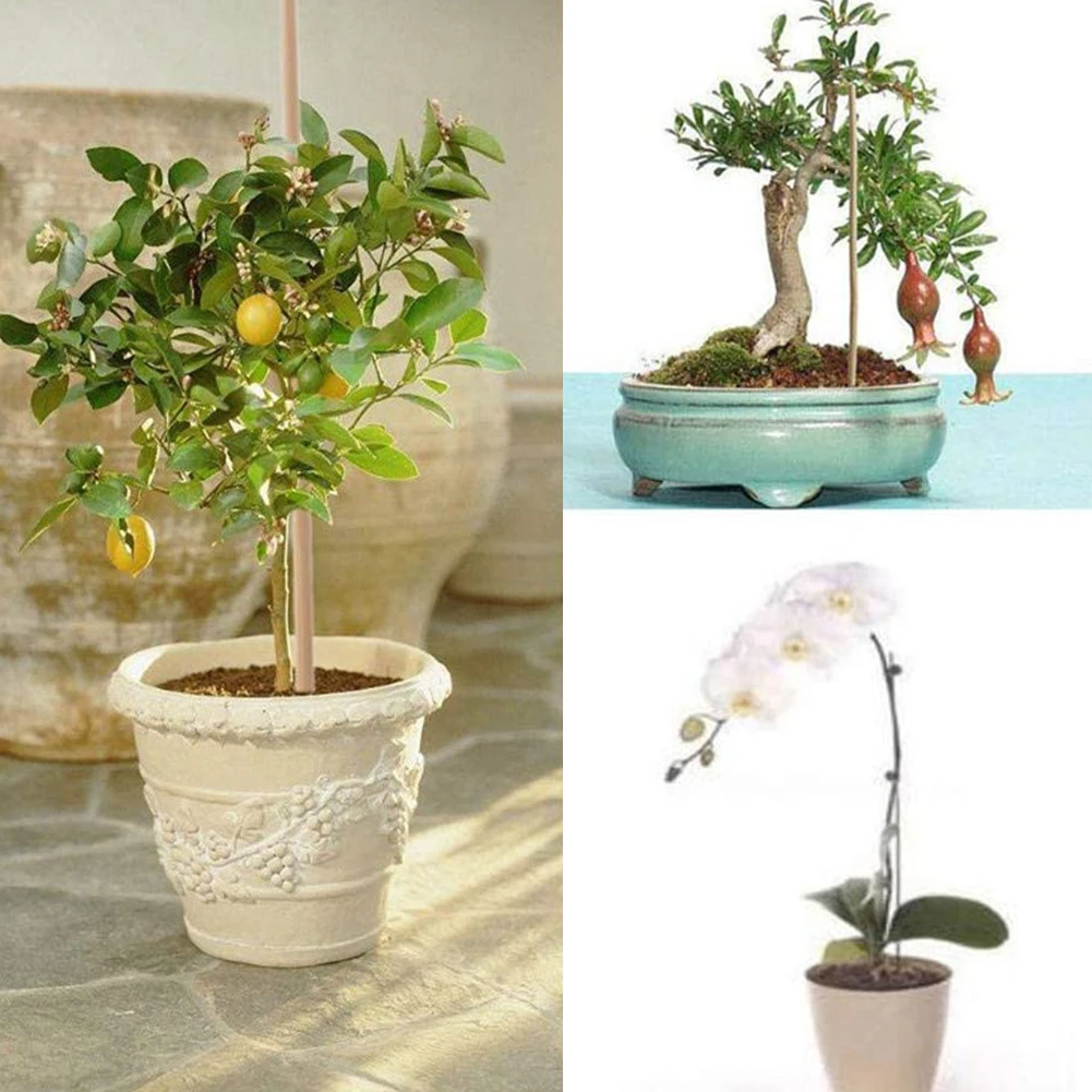 

50PCS Plant Support Sticks Bamboo Potted Plant Grow Support Rod Reusable Garden Tools Flower Canes Rod Tools For Bonsai