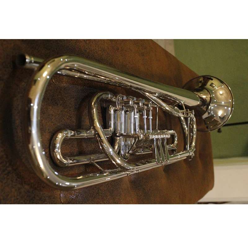 Bb бас труба B плоская с мундштуком и чехлом лакированные никелированные трубы