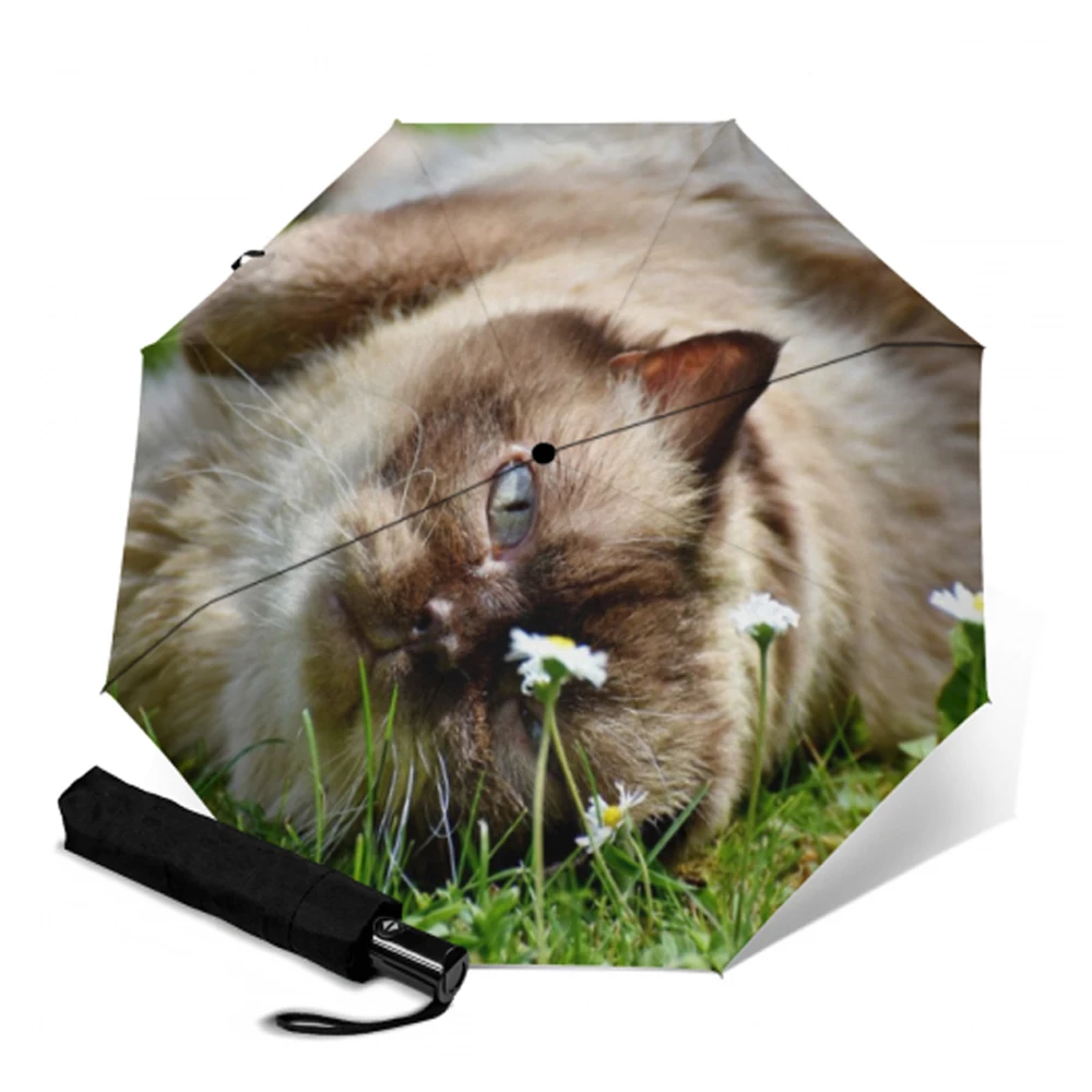 Креативный автоматический зонт с принтом котенка компактный складной защитой от