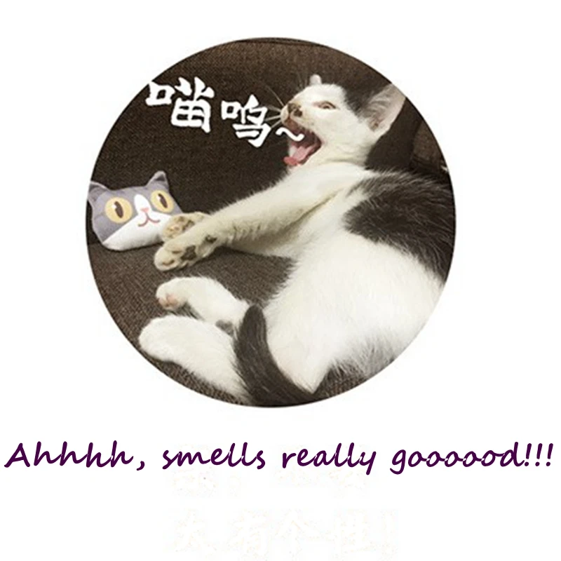 

Adorable Small Cat Toy, Catnip Pillow for Cats, Catnip Bolster