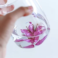 glass cup milk whiskey tea mugs beer cocktail vodka wine flower art plant specimen resin crystal cups