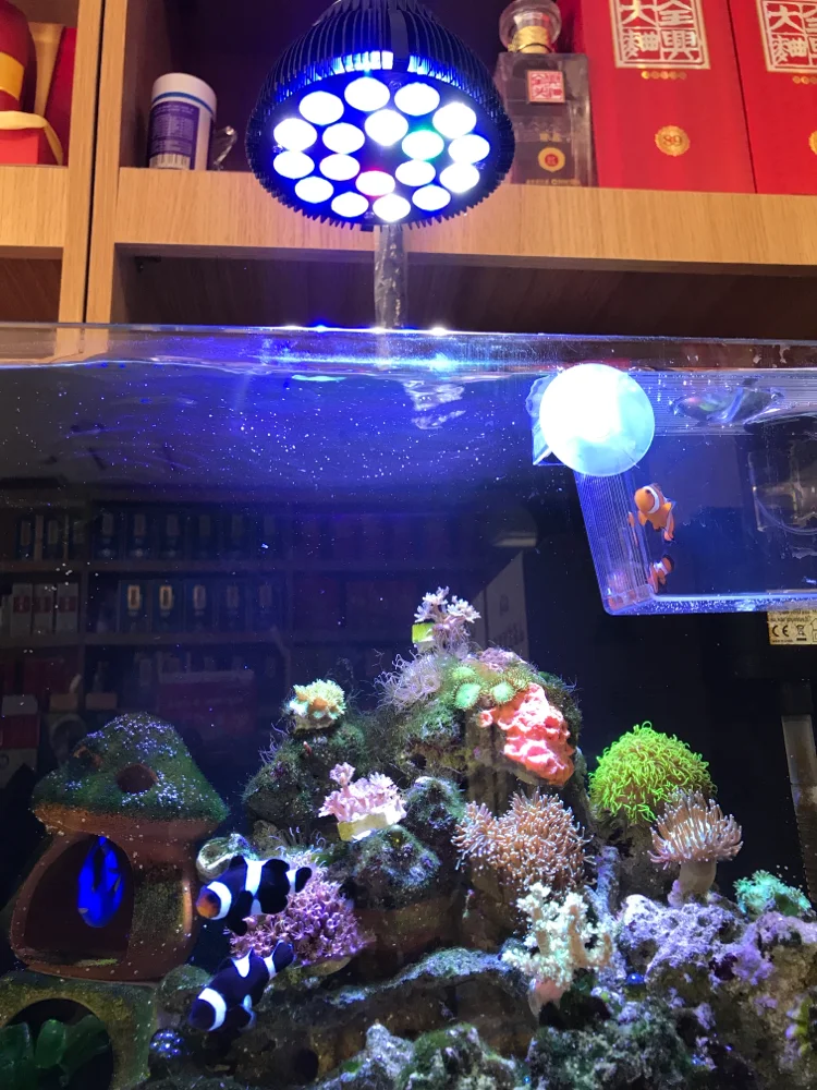 DIY E27 держатель лампы светодиодный аквариумный зажим рыбы для бака Светильник