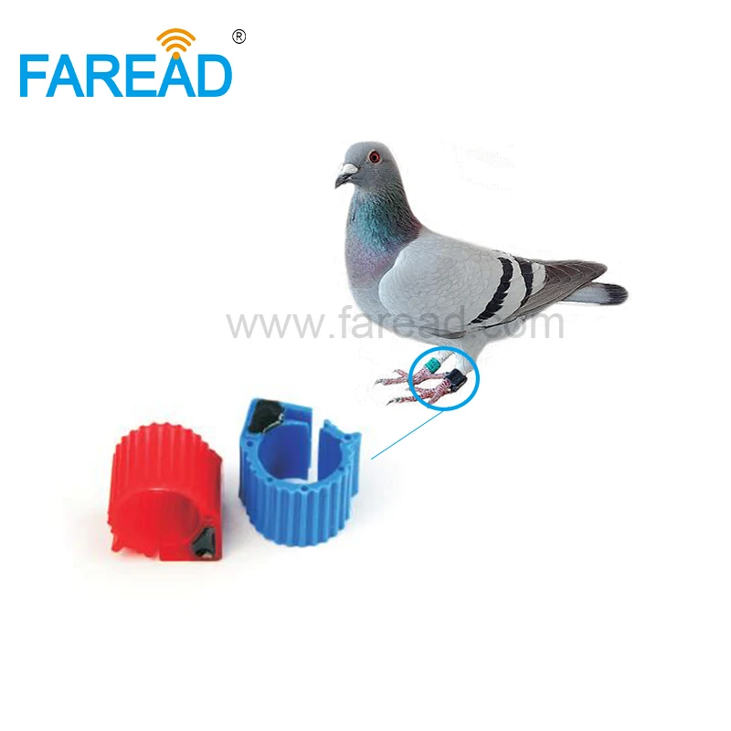 Free shipping x100pcs tag-S256 134.2KHz FDX-B ABS 9mm RFID racing pigeon Ring For for animal tracking | Безопасность и защита