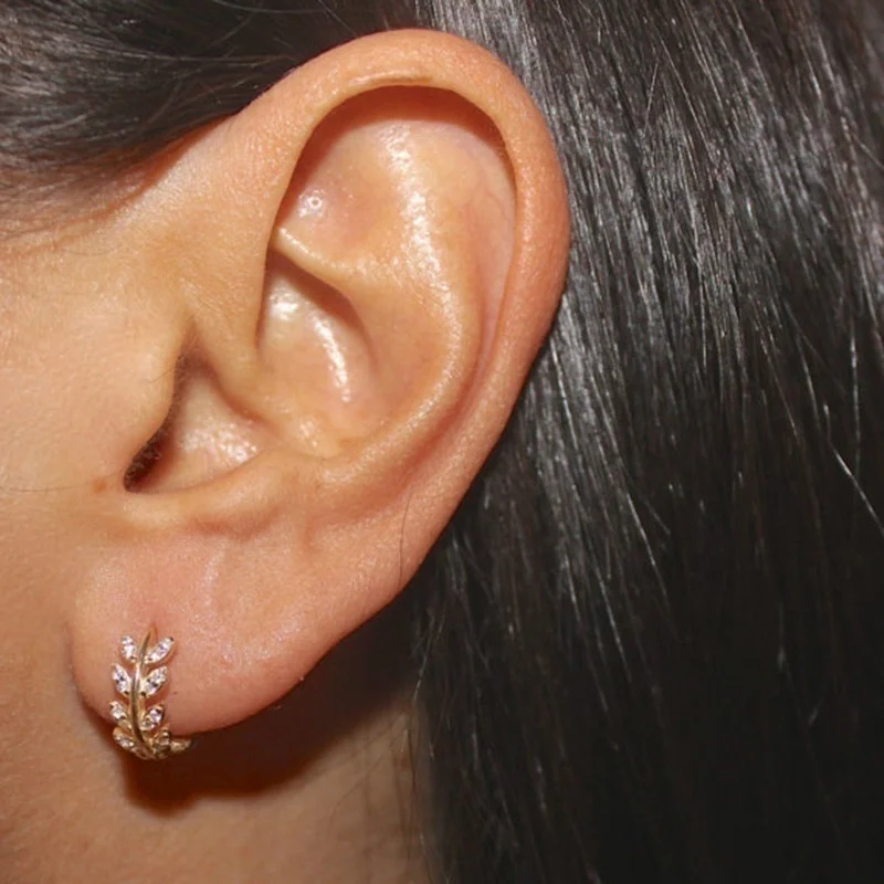 

Diamond Leaf Earring Simple Temperament Willow Hoop s 2021 Trend for Women Jewelry