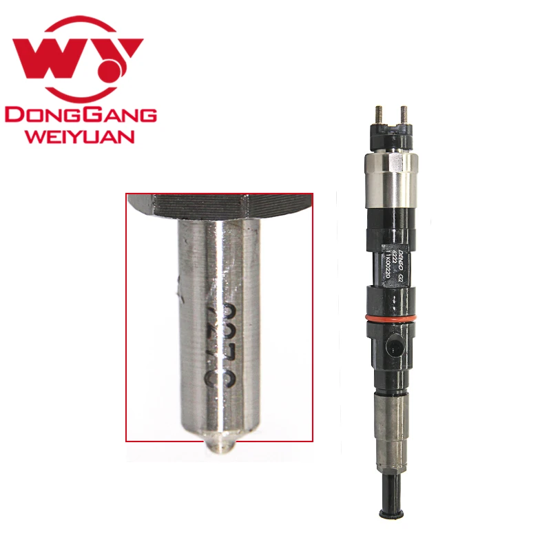 

Professional manufacture Common Rail Fuel Injector Assy 095000-6222
