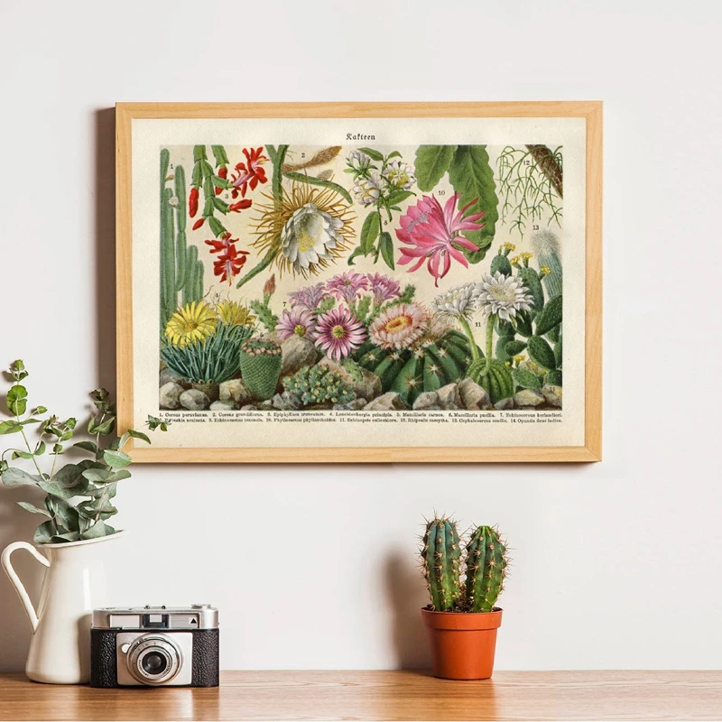 Cactus Flowers Desert Plants Succulents Posters and Prints Botanical Wall Art Canvas Painting Educational Pictures Decor |