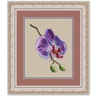 Набор для вышивки крестиком фиолетовой орхидеи, хлопковый Шелковый набор с цветочными растениями 14ct 11ct, льняная вышивка, рукоделие