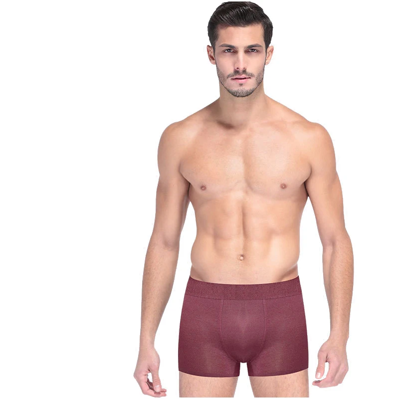 Free Choice Panties Men's New Design Silky And Supple Underpants Comfortable Seamless Health Dyeing Boxer Shorts 5 Pcs/Set