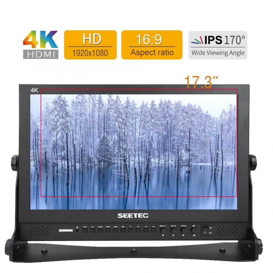 Seetec P173-9HSD 17,3 дюйма 4K ips SDI HDMI широковещательный монитор 1920*1080 широкоугольный монитор камеры AU Plug AC100-240V