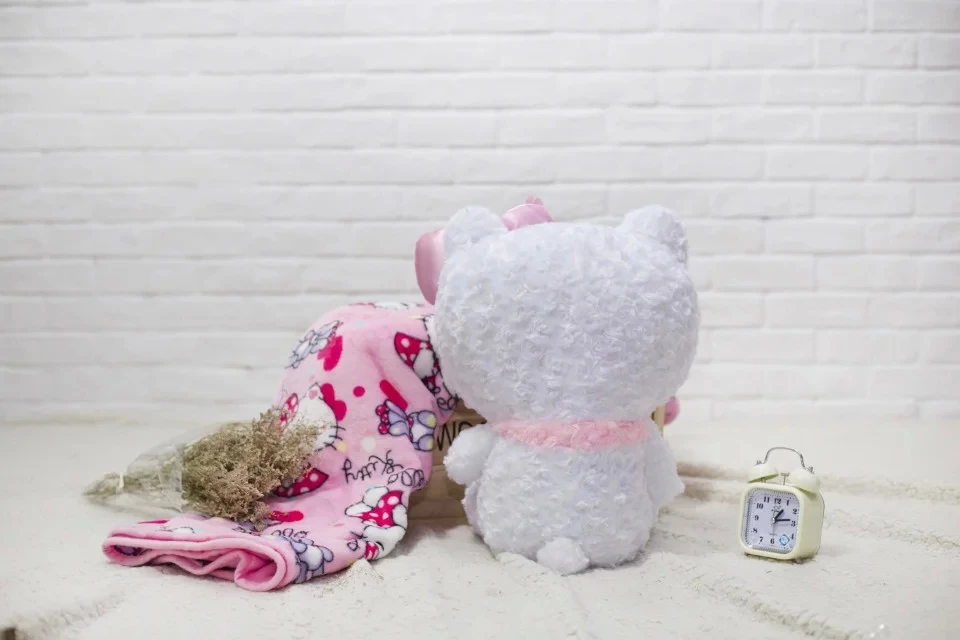 

50cm pillow /100*150cm blanket KT melody plush toys Love Model KT Cat Doll Girl Bed Sleeping Doll Pillow Birthday