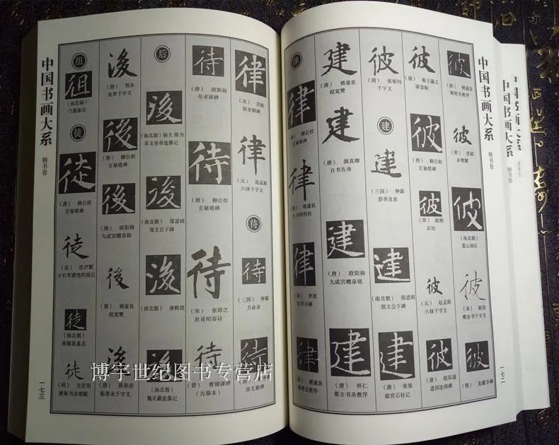 The Dictionary For Regular Script Calligraphy Chinese Book Kai Shu 420pages | Канцтовары для офиса и дома