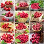 EverShine алмазная вышивка полная выкладка Малина алмазная мозаика фрукты вышивка крестом стразы искусство декор для дома