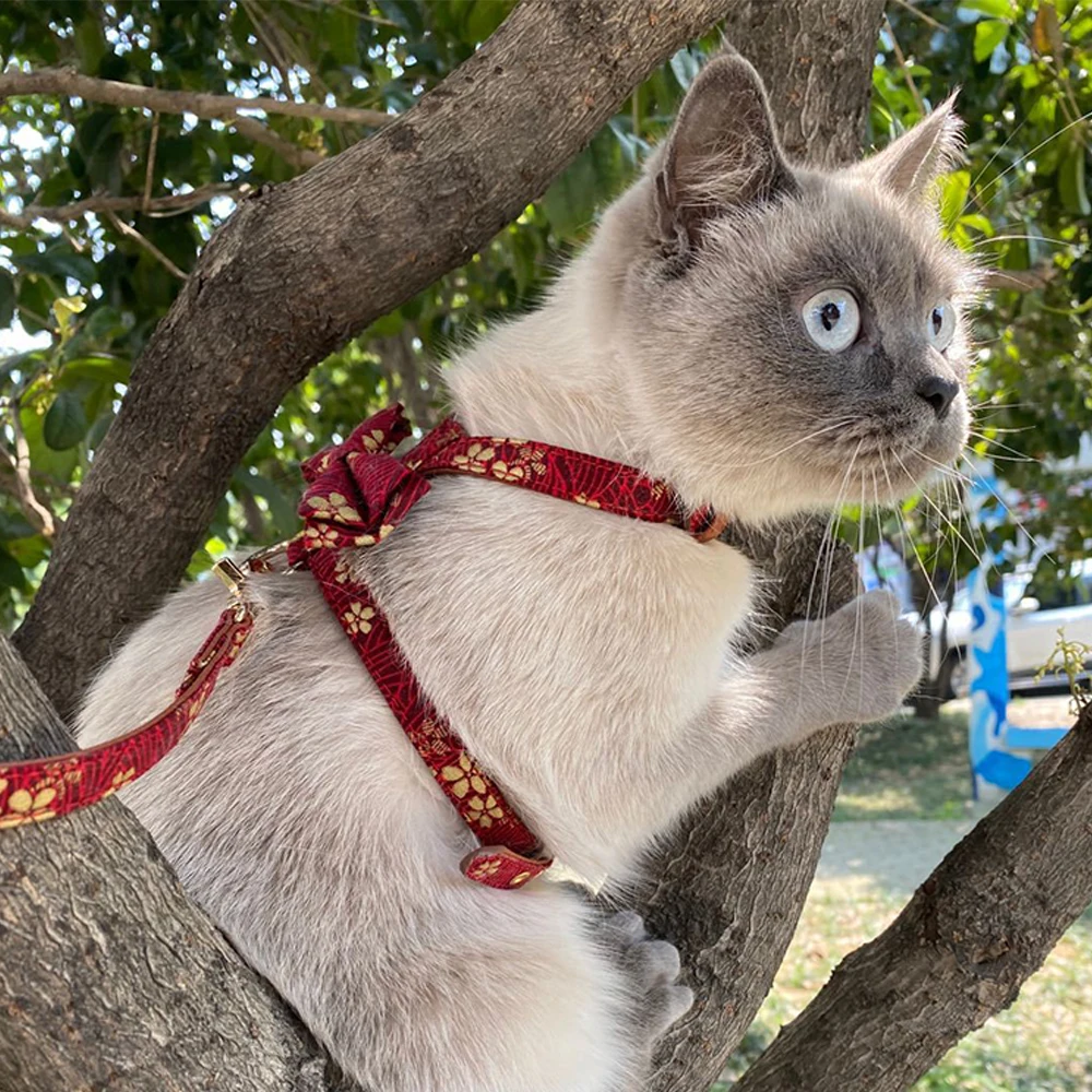 

Japanese Nail Cat Vest Harness Collar Leash Quick Release Kitten Microfiber Material Cat Kitten Walking Lead Pet Supplies