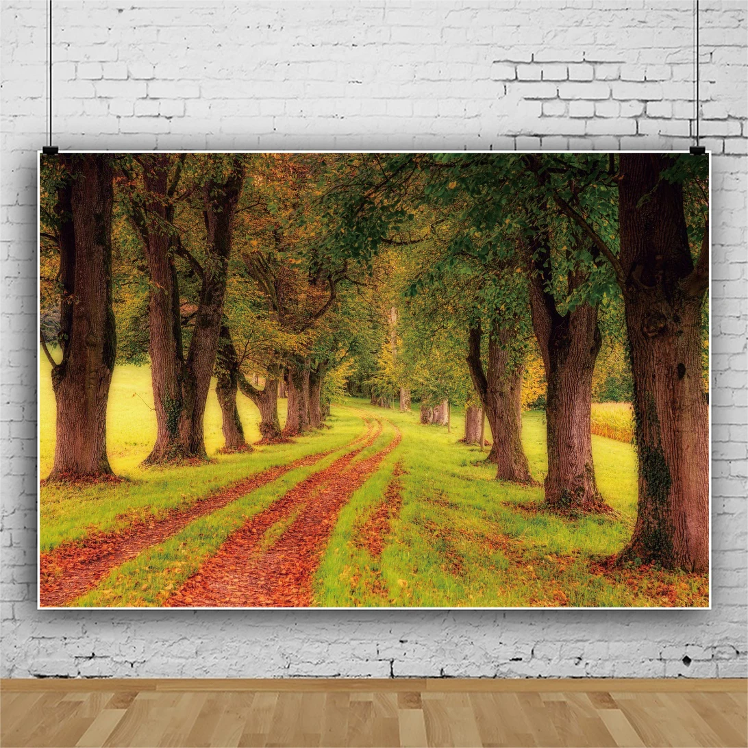 

Laeacco Autumn Photo Backdrop Forest Park Way Green Grassland Nature Scenic Photographic Background Photocall Poster Photostudio