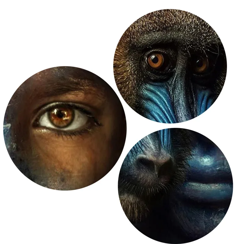 

Modern Art Woman and Animal Wall Painting Pictures Art Dropshipping Home Decor Canvas Posters Prints no frame Wall Art Printing