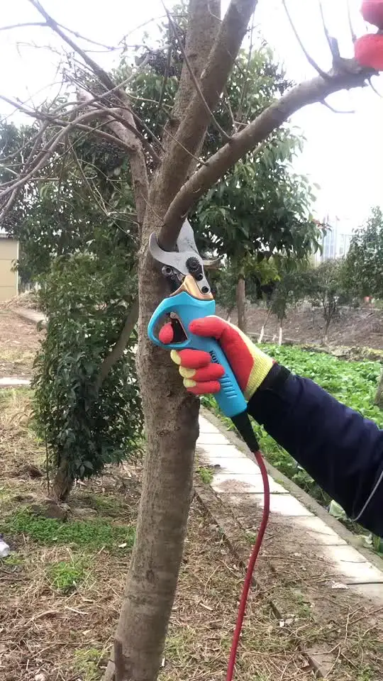 

Electric pruning shear diameter 45M working time 10 hours