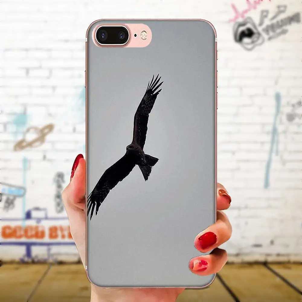 Мягкий Live Love телефон Птица орел обои для LG K50 Q6 Q7 Q8 Q60 X power 2 3 Nexus 5 5X V10 V20 V30 V40 Q