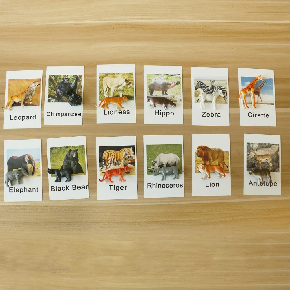 Карточки животных Монтессори языковые материалы верхний и нижний чехол