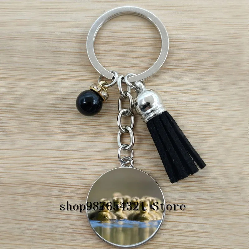 Новый милый брелок для ключей с утенком кисточкой детский школьный подвеской