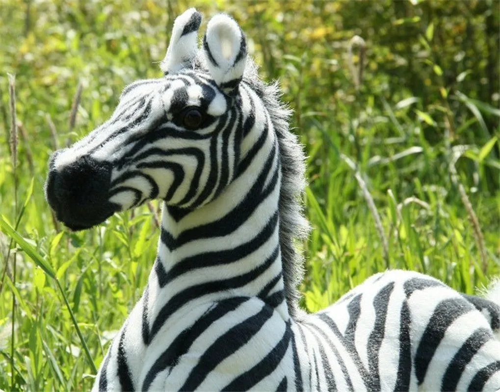 

Lovely Big Soft Penguine Plush Pillow Doll Stuffed Animals Penguines Toys Gifts Cotton Gift Reward Holiday BirthdayPlushl