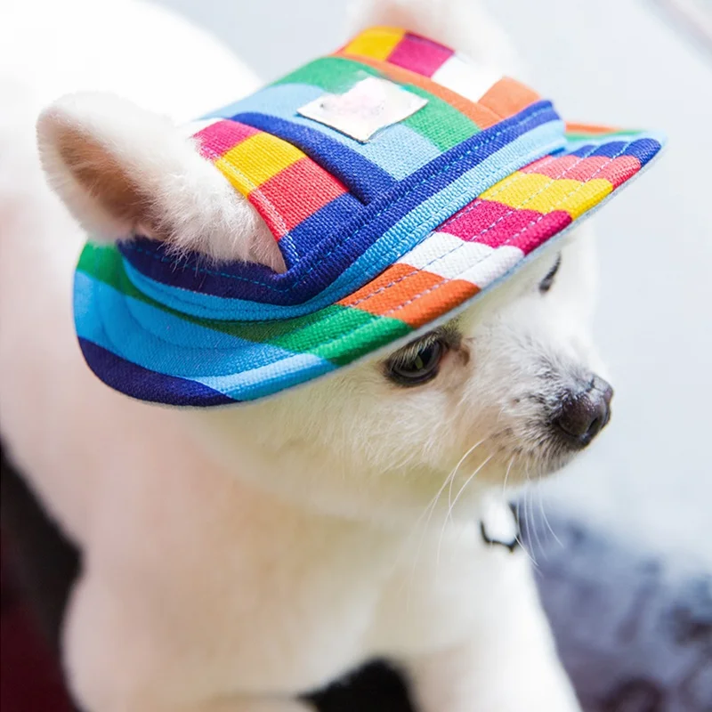

2021Dog Кепка с отверстиями для ушей для маленьких собак