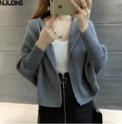 

NIJIUDING