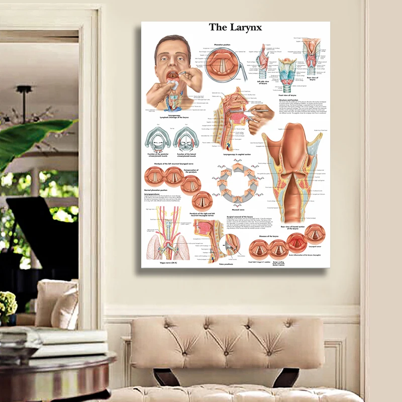 Анатомические таблицы с принтом в виде ларинкса настенный постер для гостиной