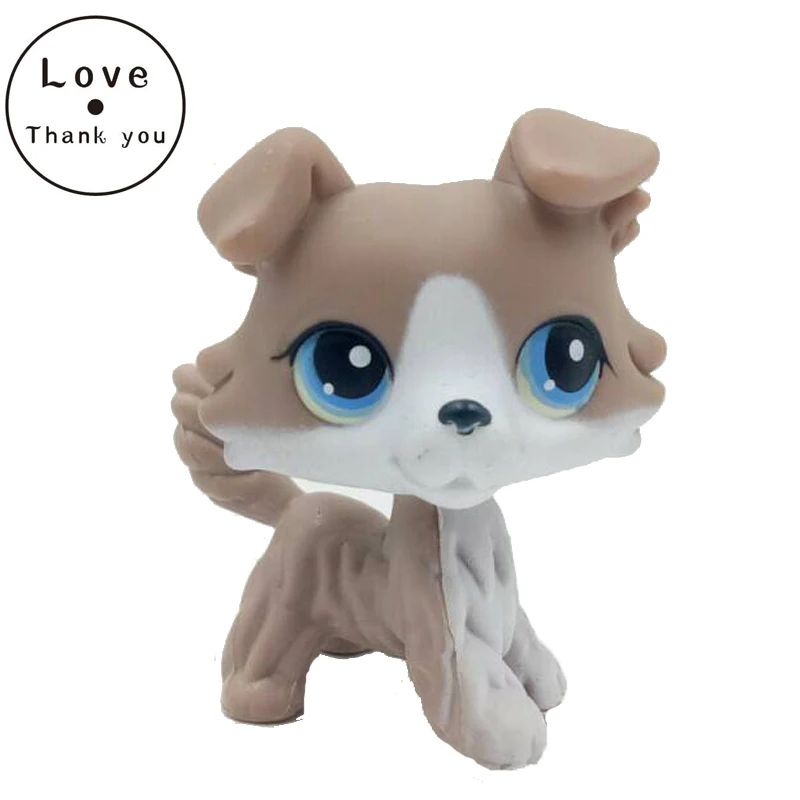 Lps кошка магазин игрушек для питомцев колли серый и белый щенок голубые глаза