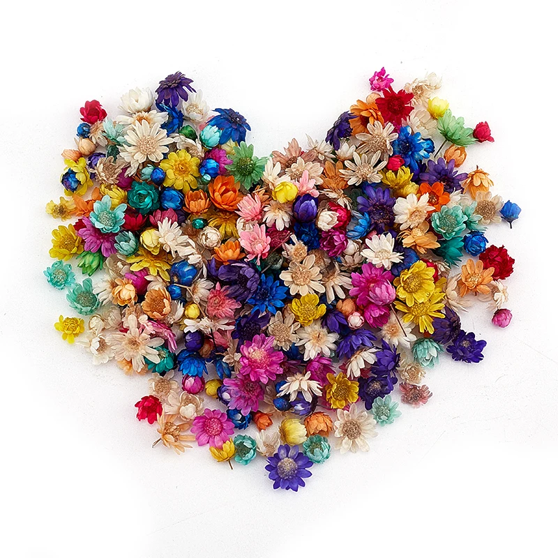 100/200PCS Real Dried Flowers Fall Decor Brazil Little Star Flower for DIY Art Craft Epoxy Resin Candle Making Jewellery Wedding