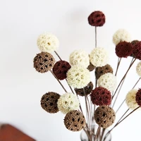 5pcslot dried flowers natural decorative home decoration diy crafting accessories dried fruit rustic decor wedding decorations