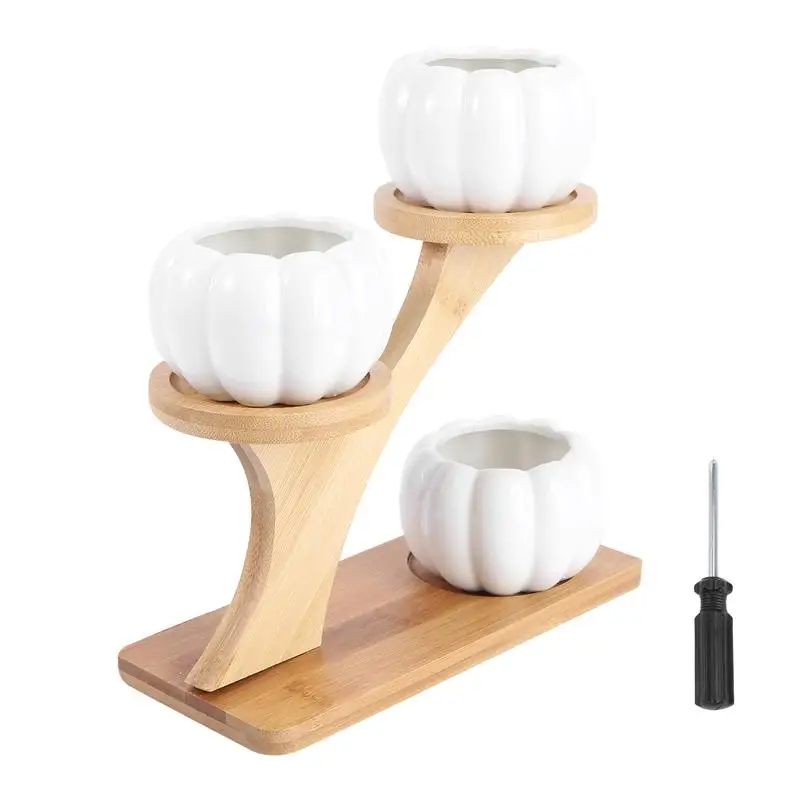 

1 Set Portable Delicate Flowerpot Planter Garden Pot for Home Garden Desktop