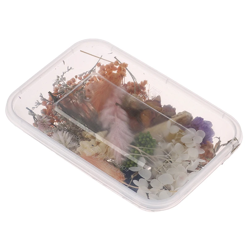 1 коробка Природный сухих цветов сухие растения живыми цветами