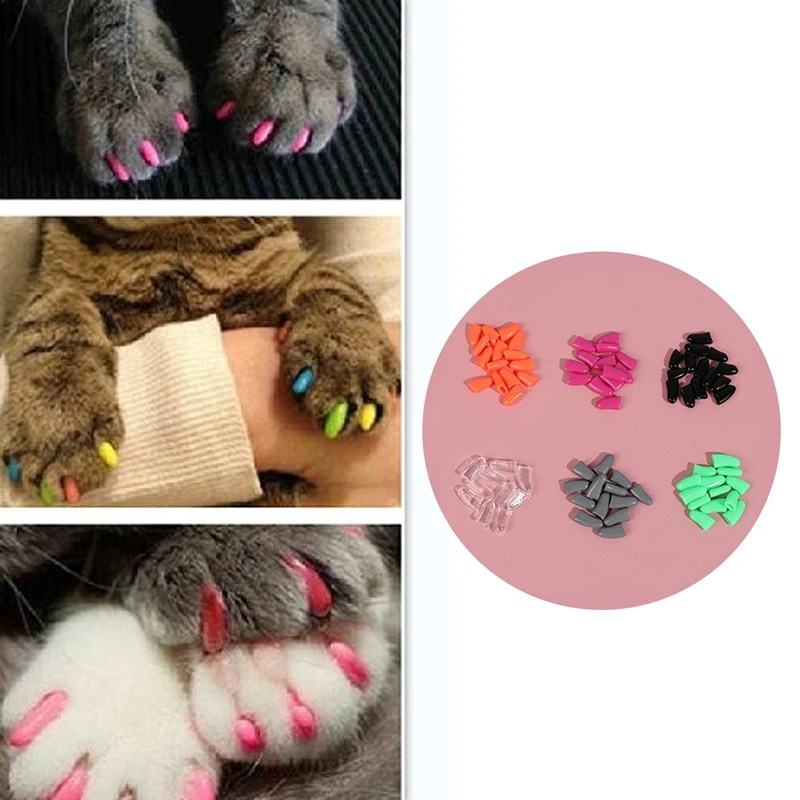 

20Pcs/lot XS S M L Size Colorful Cat Nail Caps Soft Cat Claw Soft Paws With Free Adhesive Glue Pet Kitten Accessories