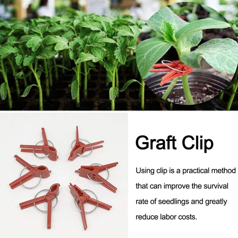200 шт садовые растения трансплантат зажимы лозы зажим для овощей завод