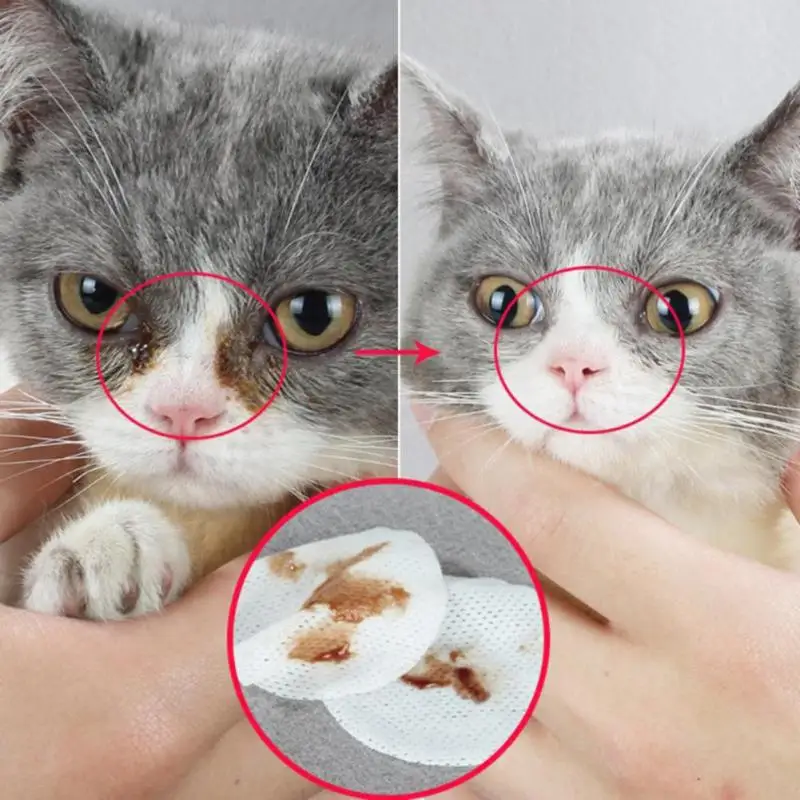 100Pcs Pet Cleaning Wipes Eye Wet Dog Cat Grooming Tear Stain Remover Clean Towel | Дом и сад