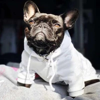 dog clothes small dog hoodie coat chihuahua dog sweatshirt french bulldog warm puppy clothes hoodie for dog b1033