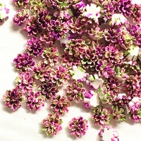 100pcs 1213mm purplegreen resin flowers decorations crafts flatback cabochon for scrapbooking diy accessories