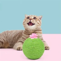 cat new scratching board pricky pear funny toy for kitten cactus fashion product nail pad sisal cat scratcher game decoration