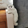 Изображение товара 4
