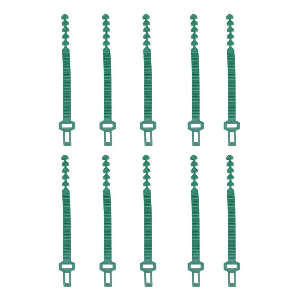 Plastic 10Pcs Durable Climbing Plants Tree Ties Portable Fixing Buckle Labor-saving for Shrubs | Дом и сад