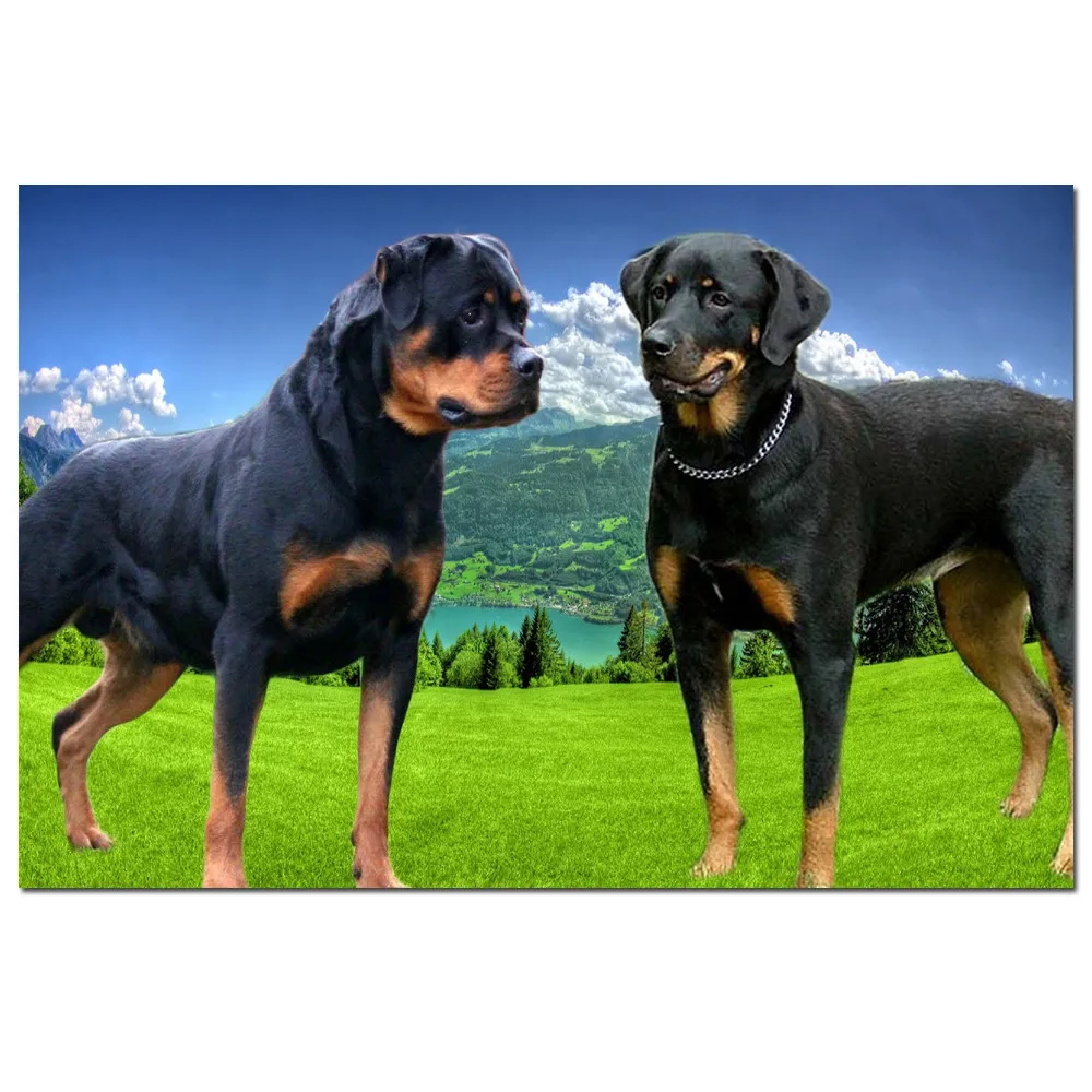 5d алмазная картина немецкий Ротвейлер Алмазная вышивка крестиком diy продажа две